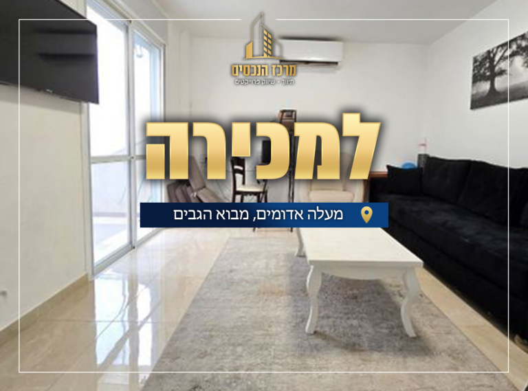 נכסים לאתר (1)